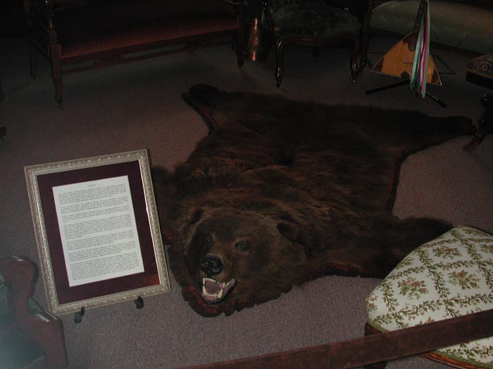 Bear rug.jpg 52.0K